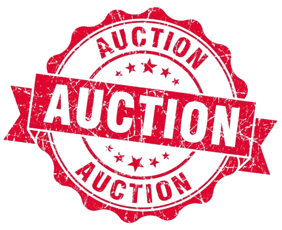 auction icon